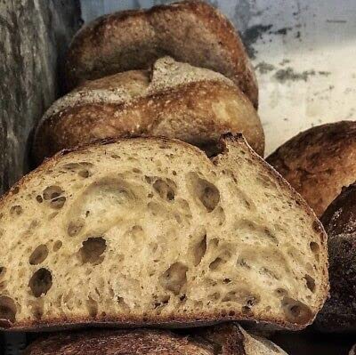 100 year old Alaska Sourdough Starter
