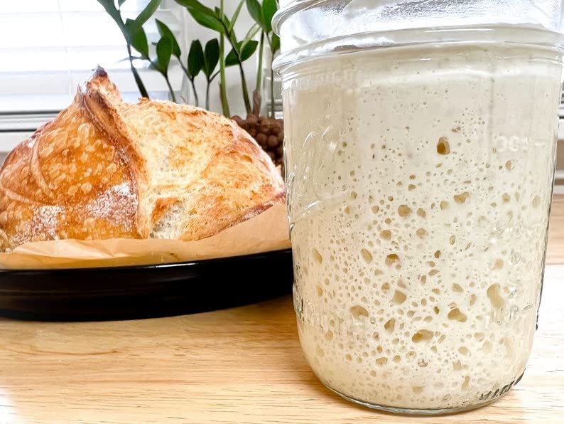 100 year old Alaska Sourdough Starter