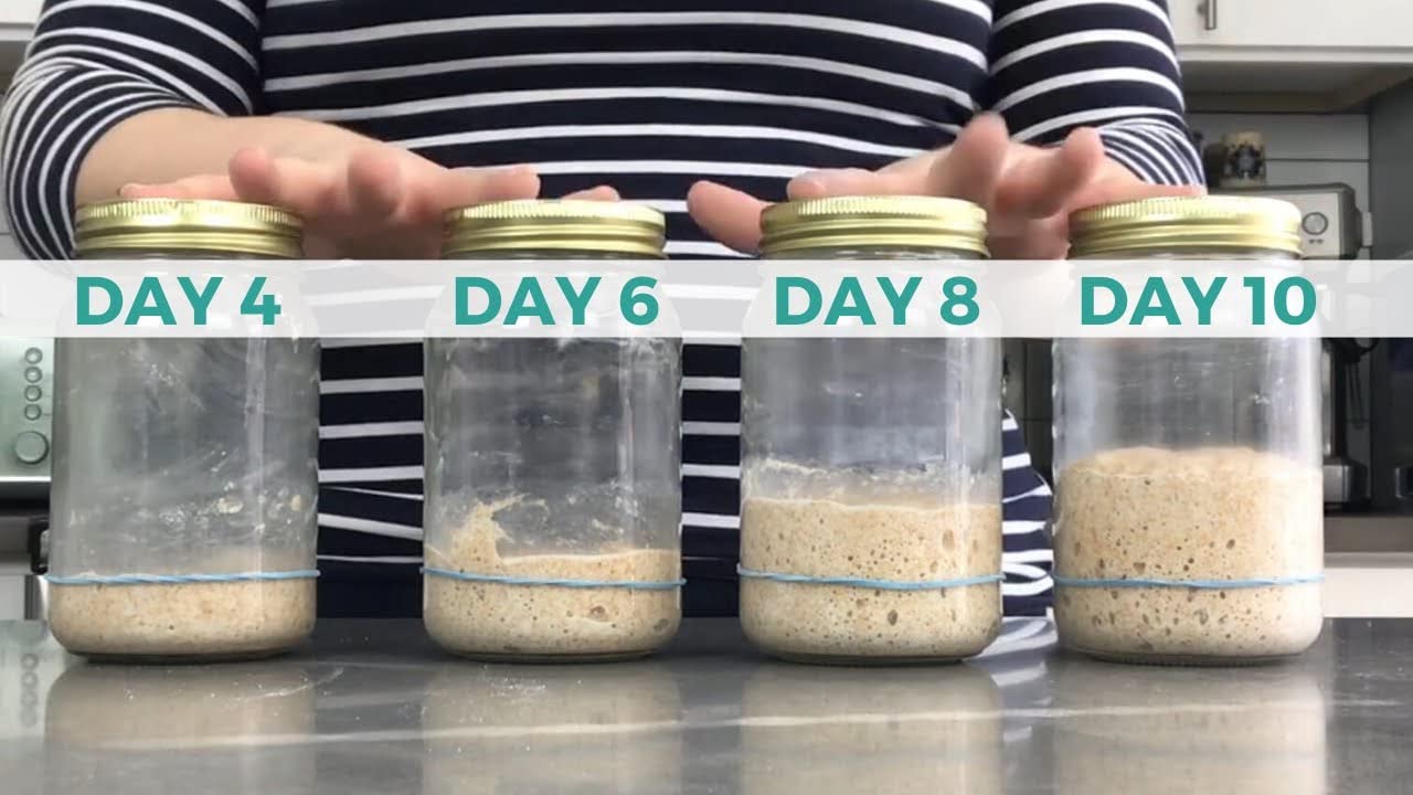 100 year old Alaska Sourdough Starter