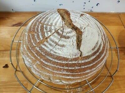 233yr Old Verified Heritage San Francisco Sourdough Starter