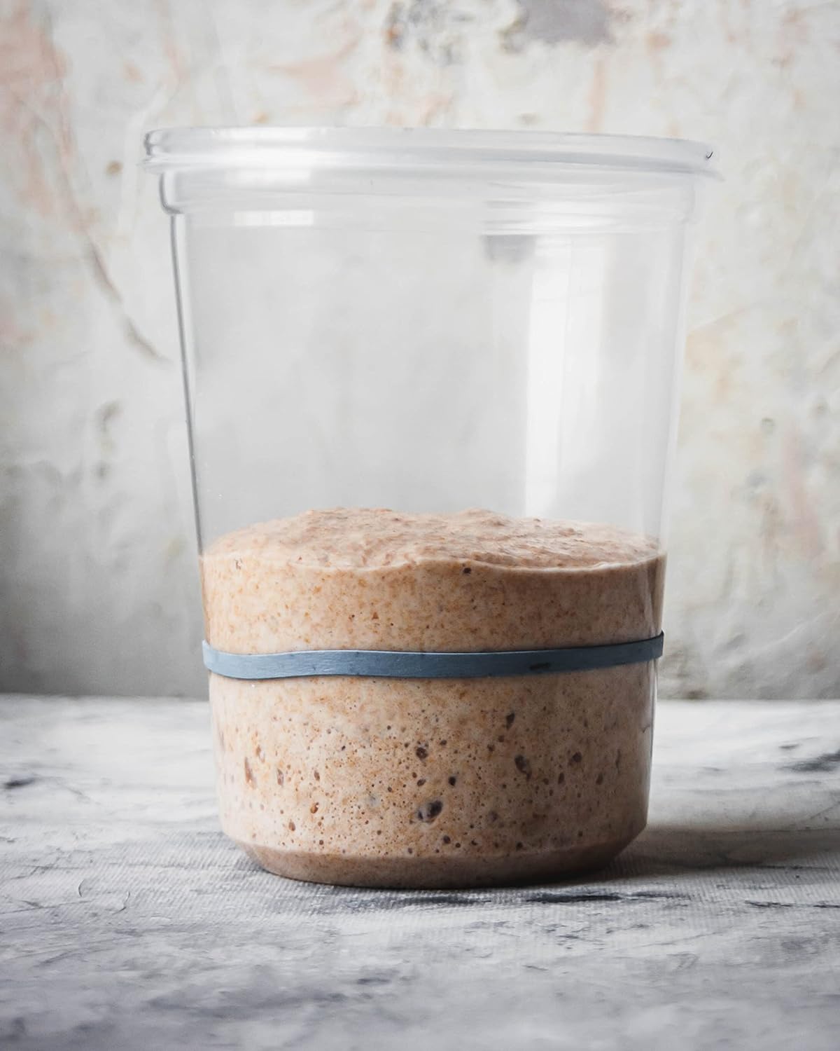 900 Year Old Organic Fresh Sourdough Starter Yeast Culture - Dutch/Wales Heritage