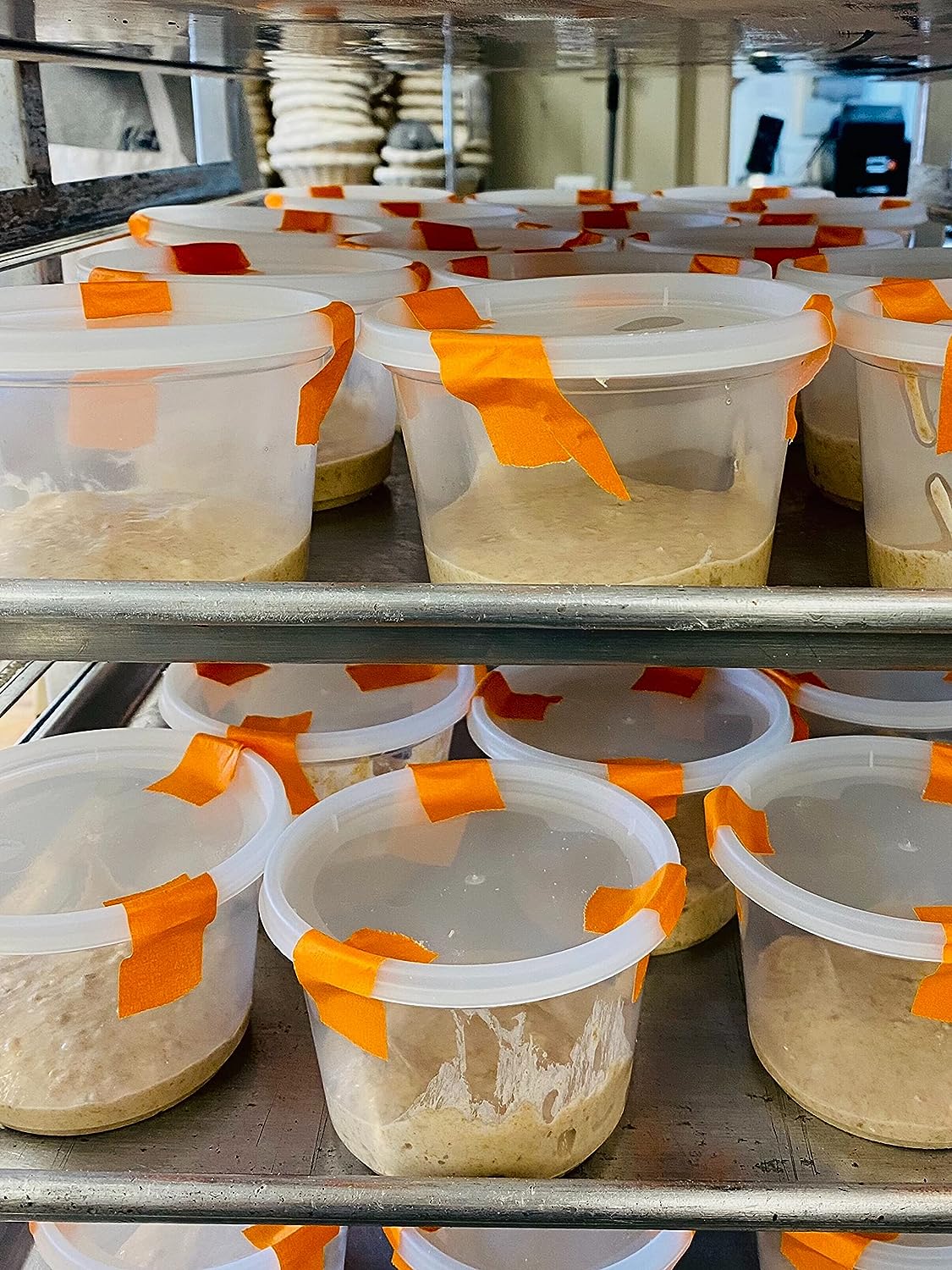 900 Year Old Organic Fresh Sourdough Starter Yeast Culture - Dutch/Wales Heritage