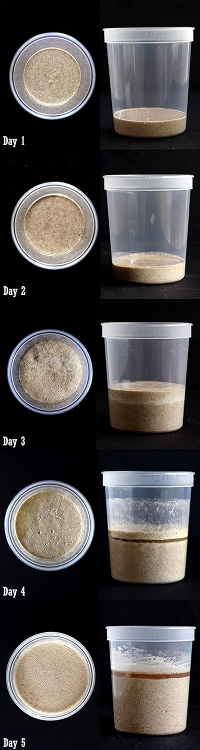 900 Year Old Organic Fresh Sourdough Starter Yeast Culture - Dutch/Wales Heritage