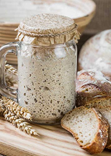 900 Year Old Organic Fresh Sourdough Starter Yeast Culture - Dutch/Wales Heritage