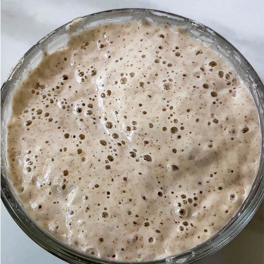 900 Year Old Organic Fresh Sourdough Starter Yeast Culture - Dutch/Wales Heritage