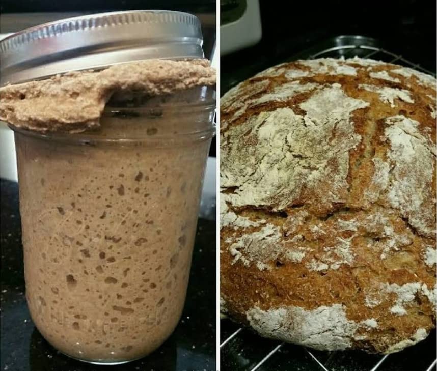 Soviet Rye Sourdough Starter. Organic Fresh Active Russian heritage sour yeast culture - From Russia with Love