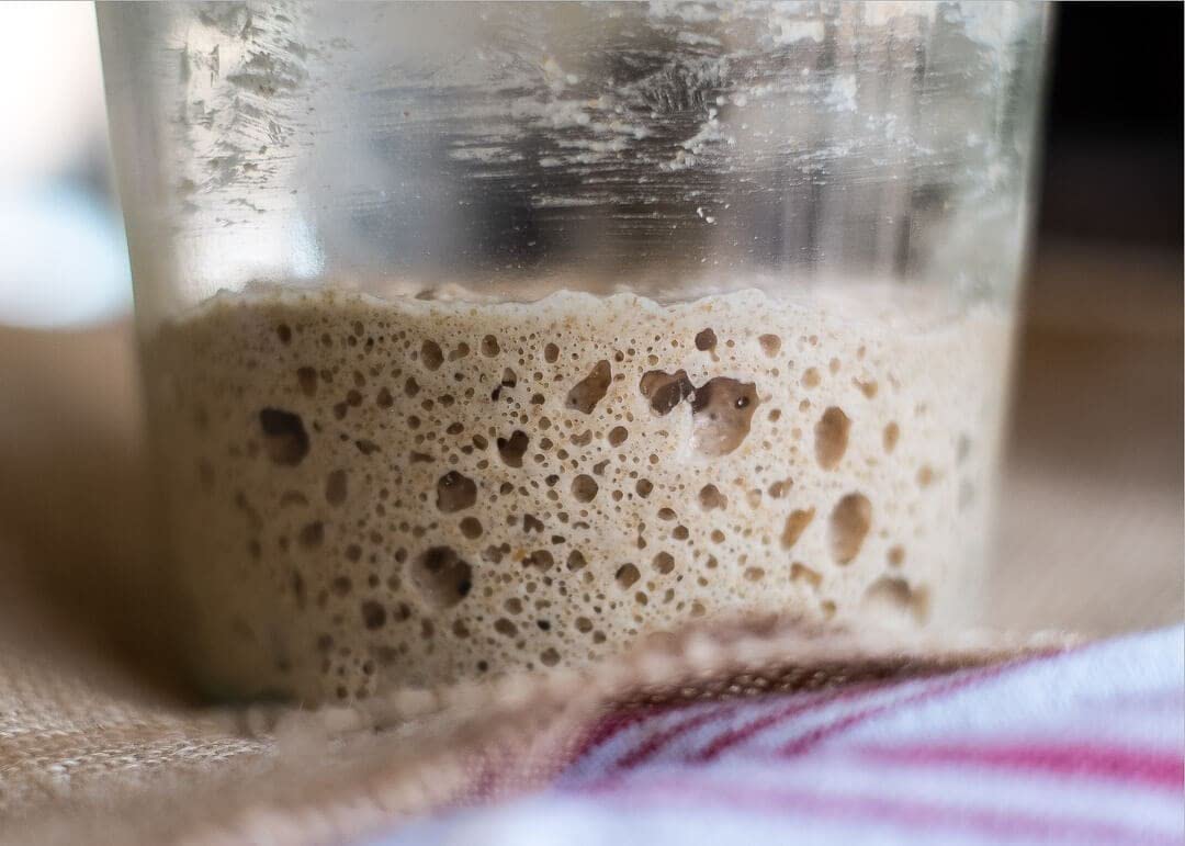Soviet Rye Sourdough Starter. Organic Fresh Active Russian heritage sour yeast culture - From Russia with Love