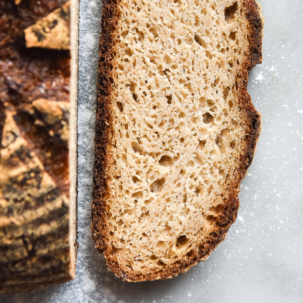 Gluten-Free Sourdough Starter