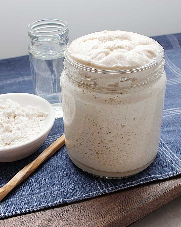 Gluten-Free Sourdough Starter