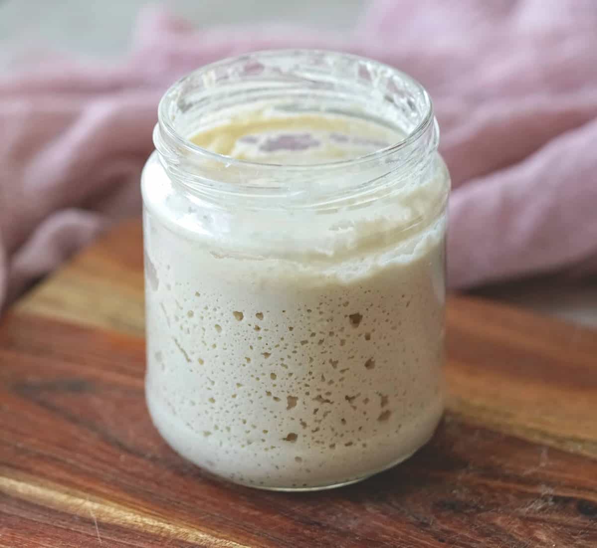 Gluten-Free Sourdough Starter