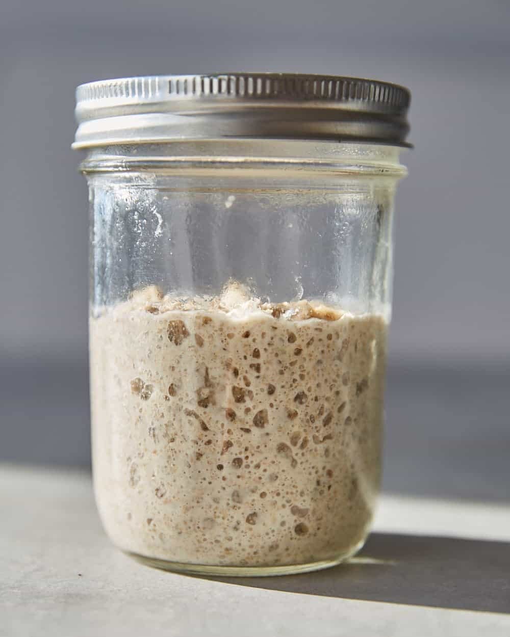 100 year old Alaska Sourdough Starter