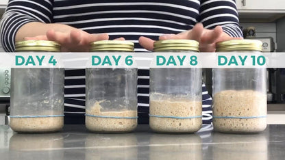 100 year old Alaska Sourdough Starter